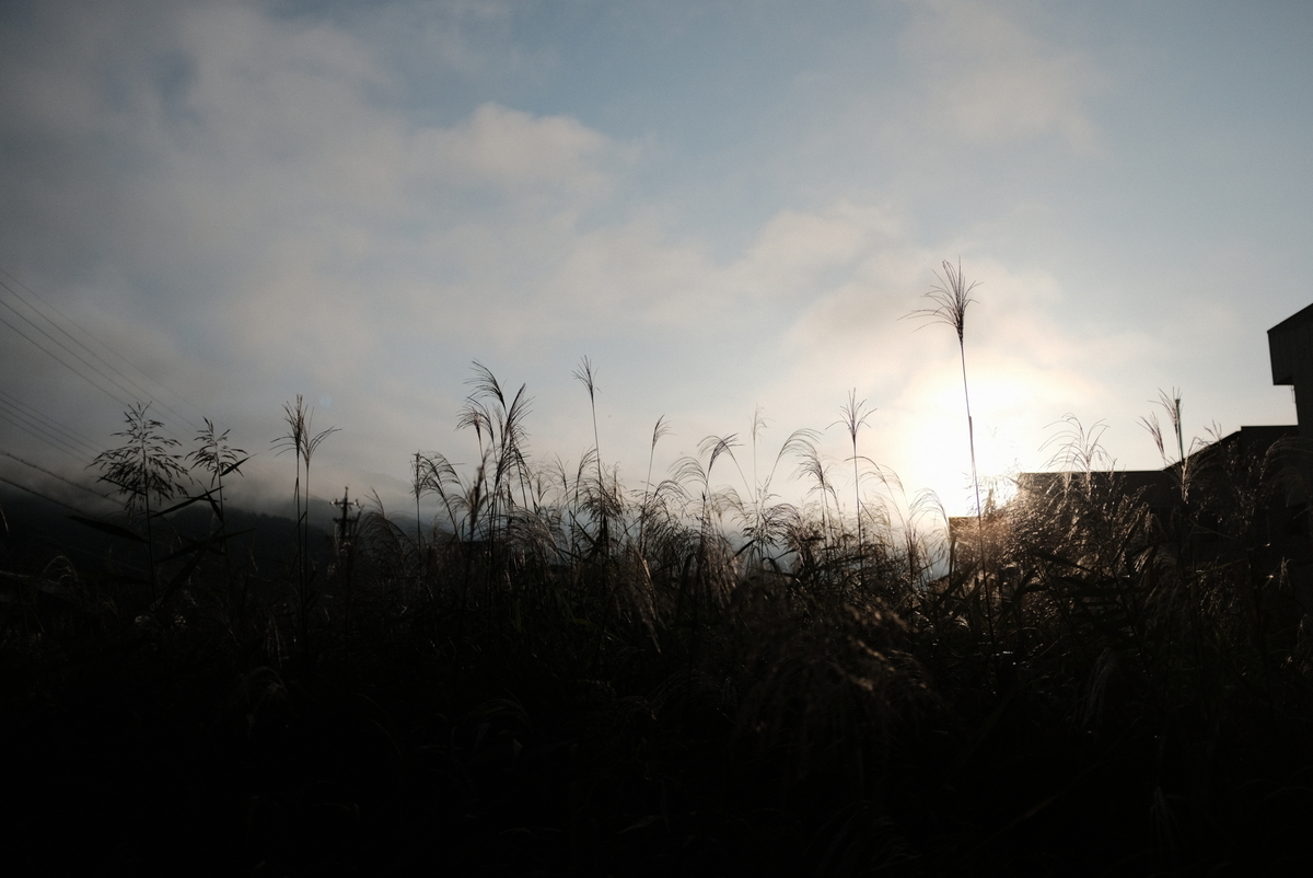f:id:Aozora100:20211124210434j:plain