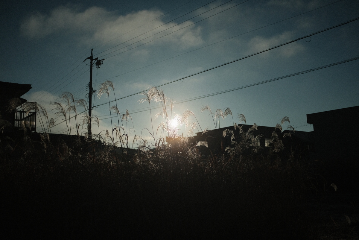 f:id:Aozora100:20220120215655j:plain