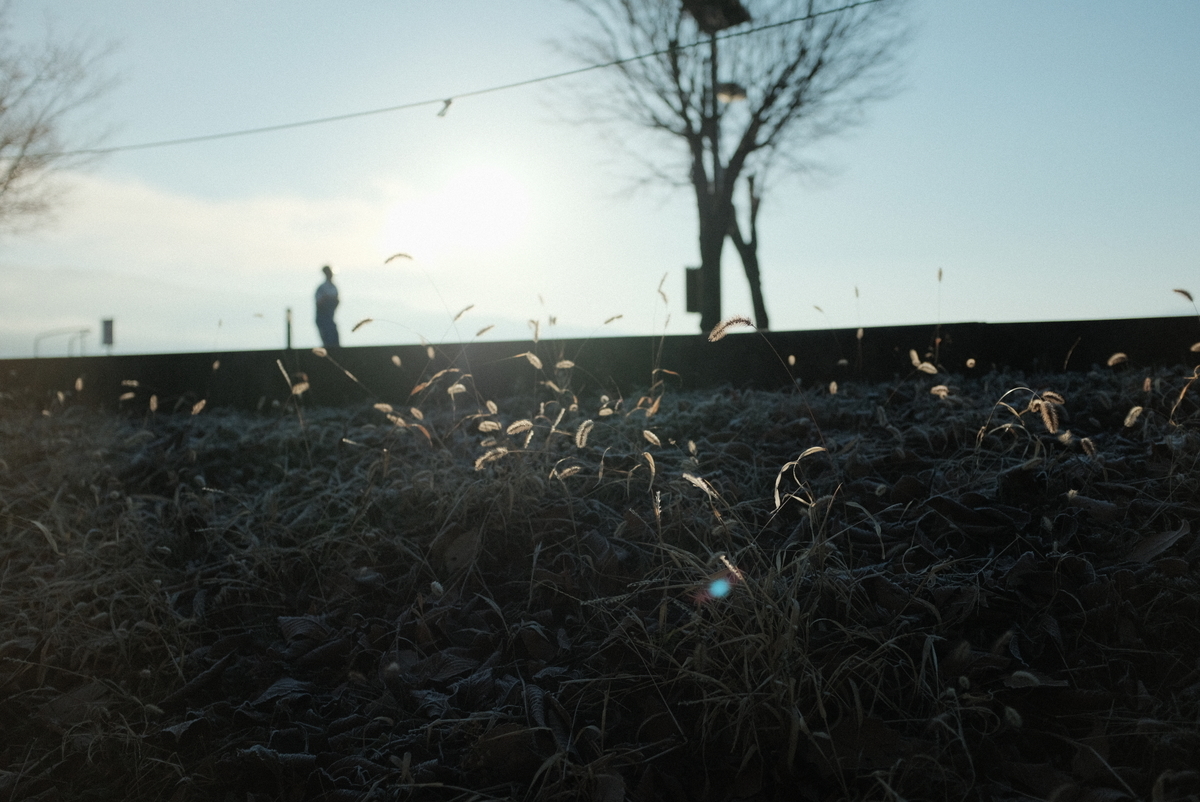 f:id:Aozora100:20220122204837j:plain