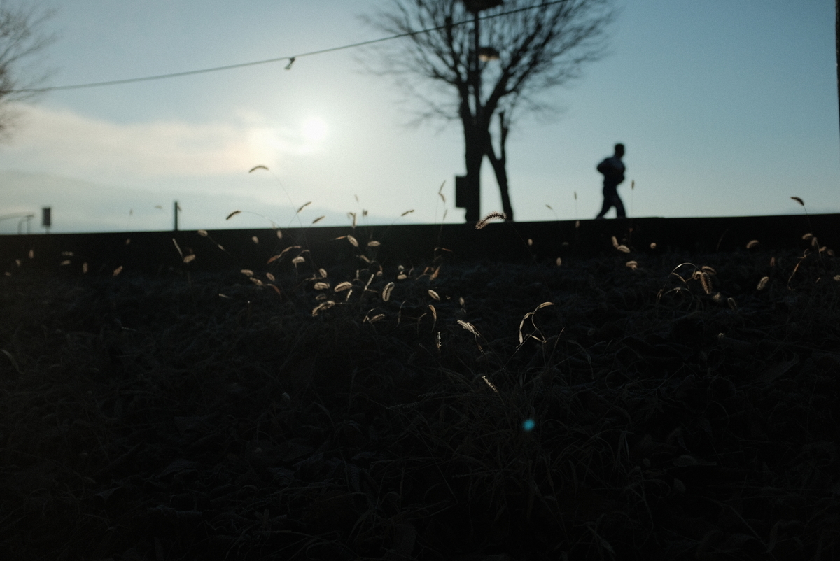 f:id:Aozora100:20220122204925j:plain