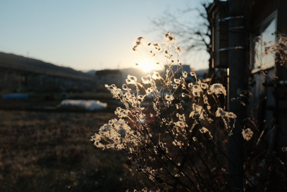 f:id:Aozora100:20220206195243j:plain