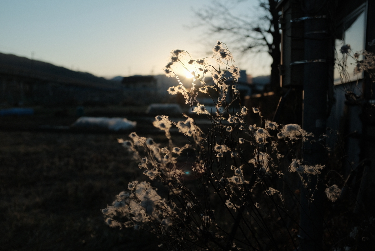f:id:Aozora100:20220206195404j:plain