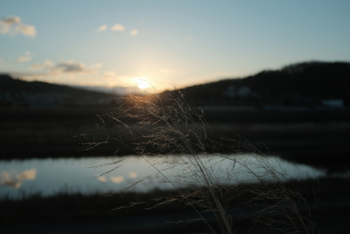f:id:Aozora100:20220220211315j:plain