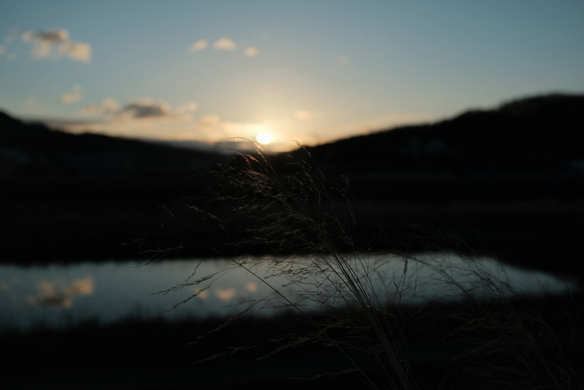 f:id:Aozora100:20220220211346j:plain