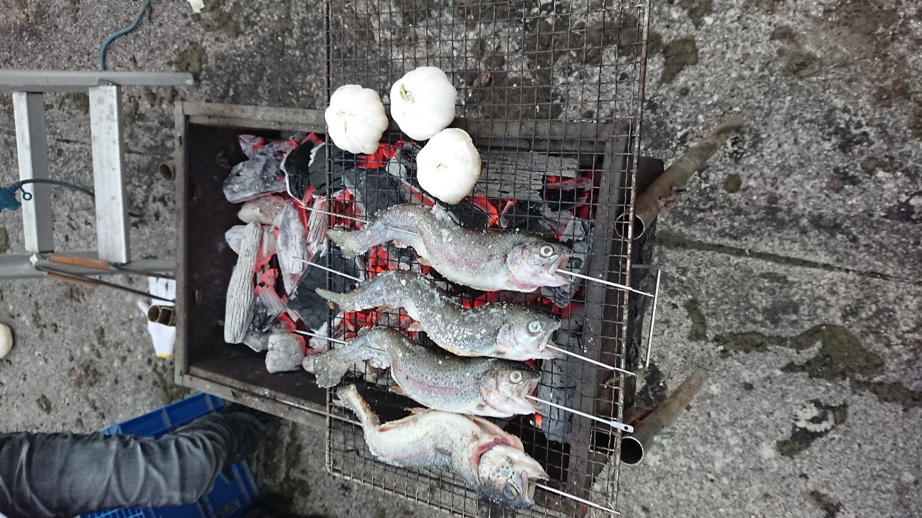 f:id:ApeFelix:20180529165759j:image
