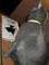 f:id:Apeman:20070925013553j:image:small
