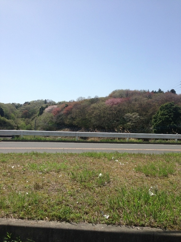 イメージ 4