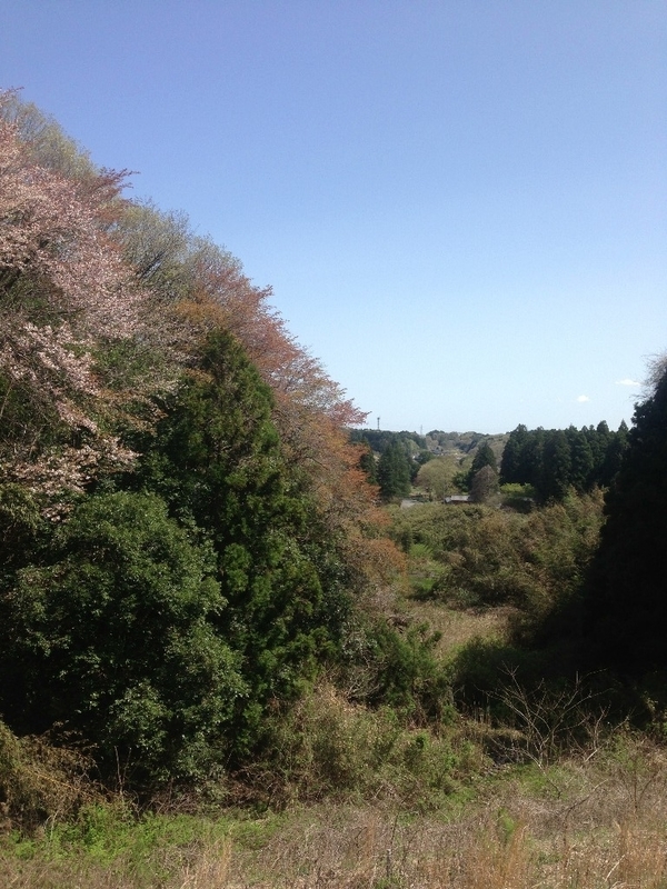 イメージ 6