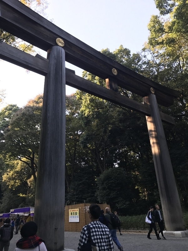 イメージ 16