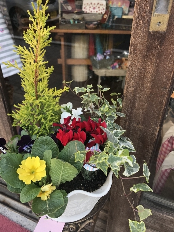イメージ 3