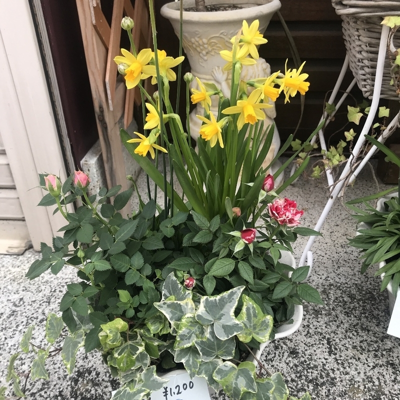イメージ 7