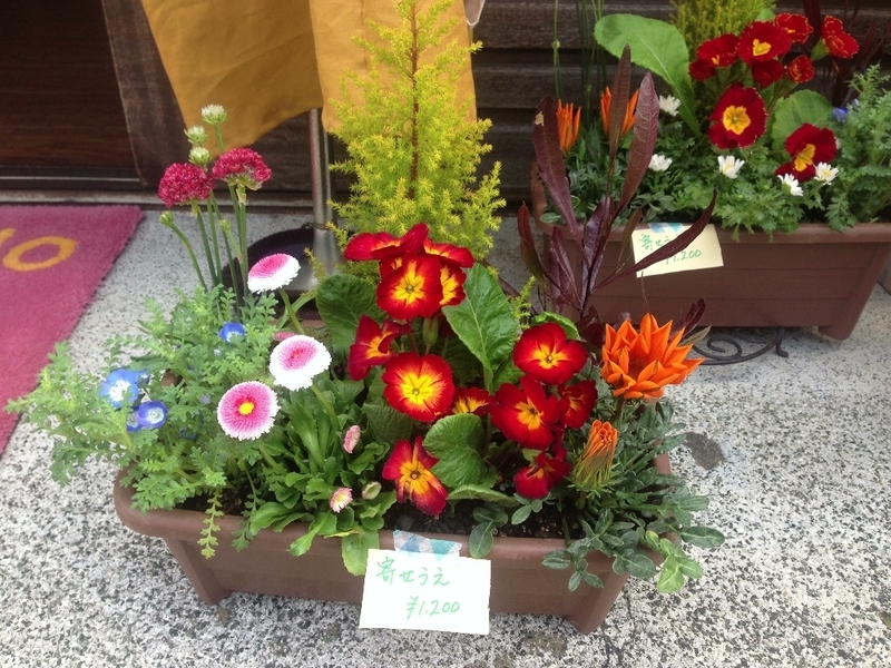 イメージ 9