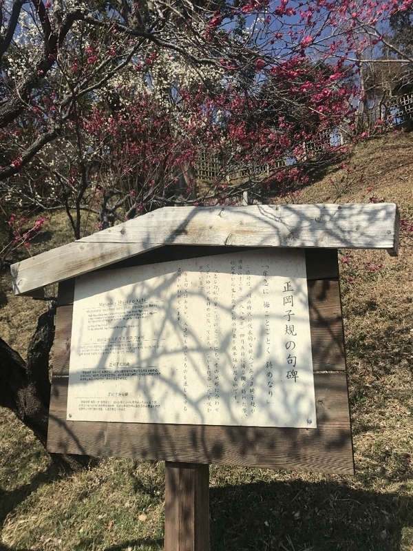イメージ 6
