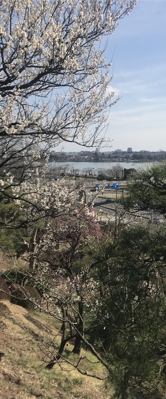 イメージ 9