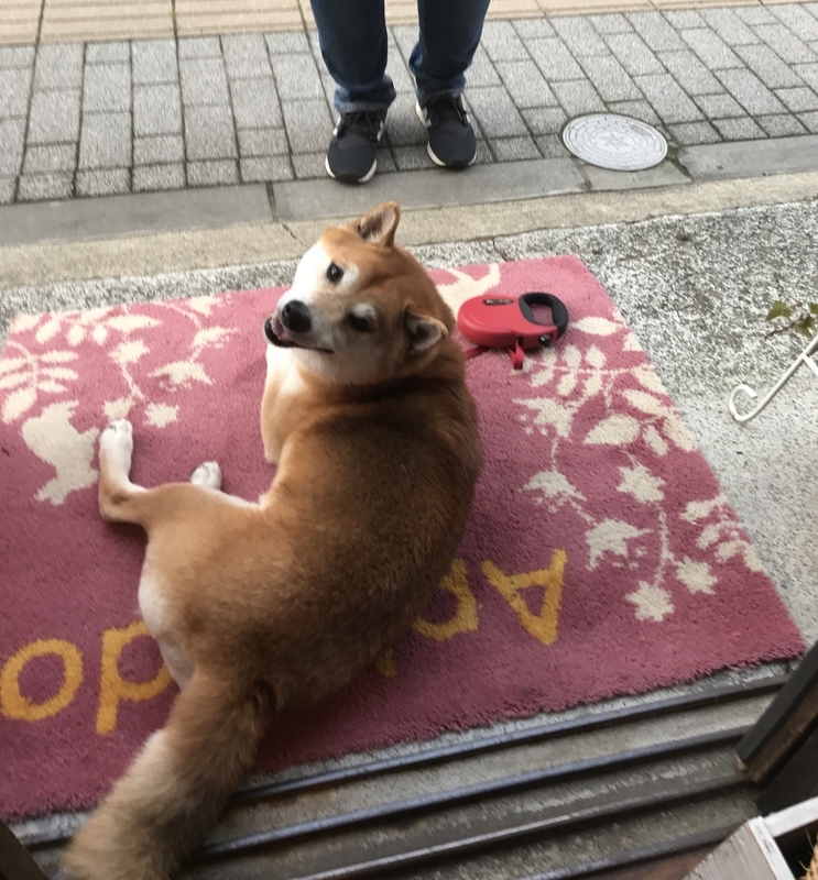 イメージ 2