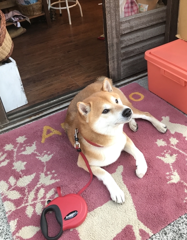 イメージ 3