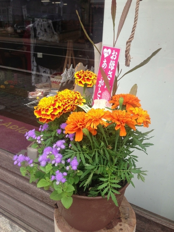 イメージ 4