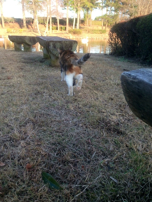イメージ 28