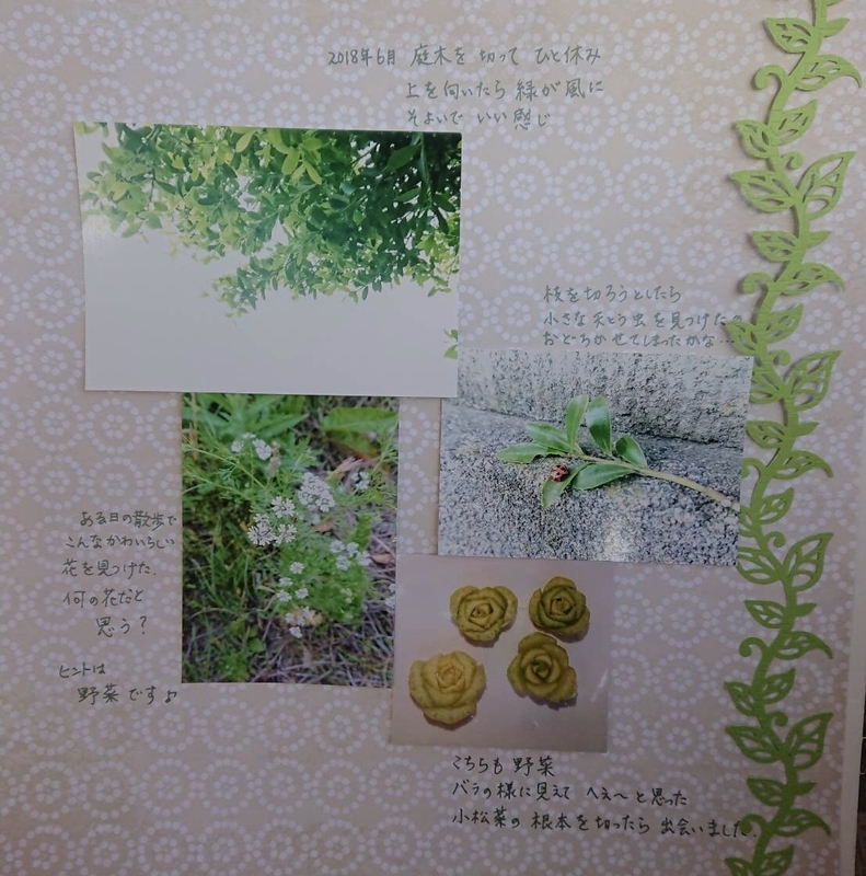イメージ 9