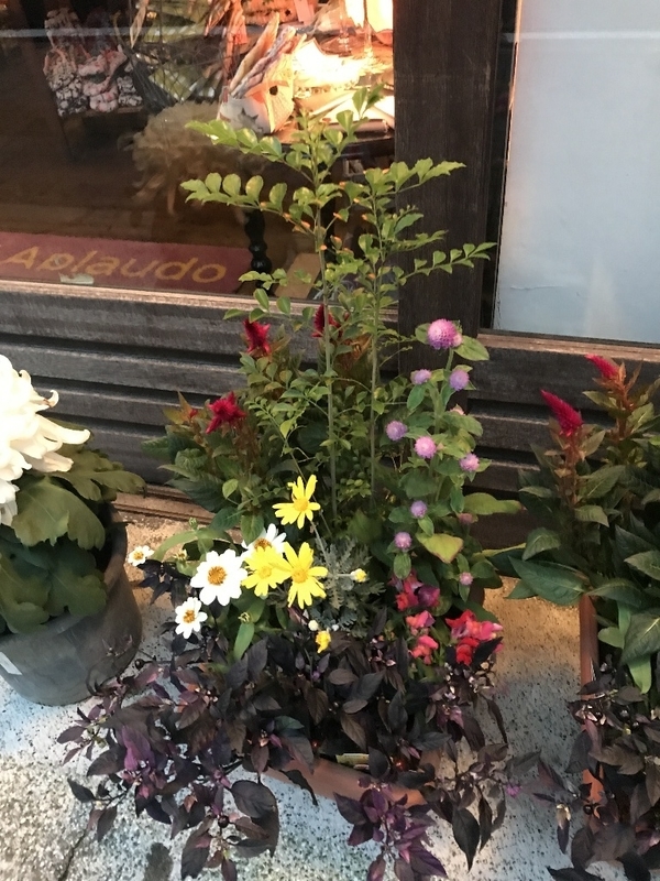 イメージ 5
