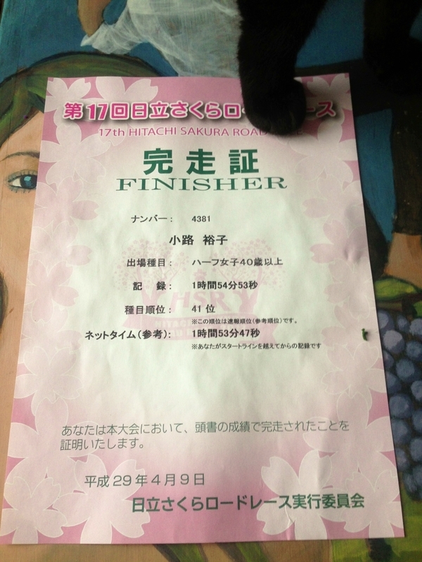 イメージ 5