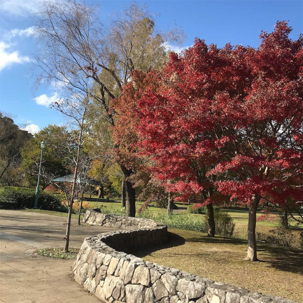 f:id:Aplaudo:20191206210552j:image