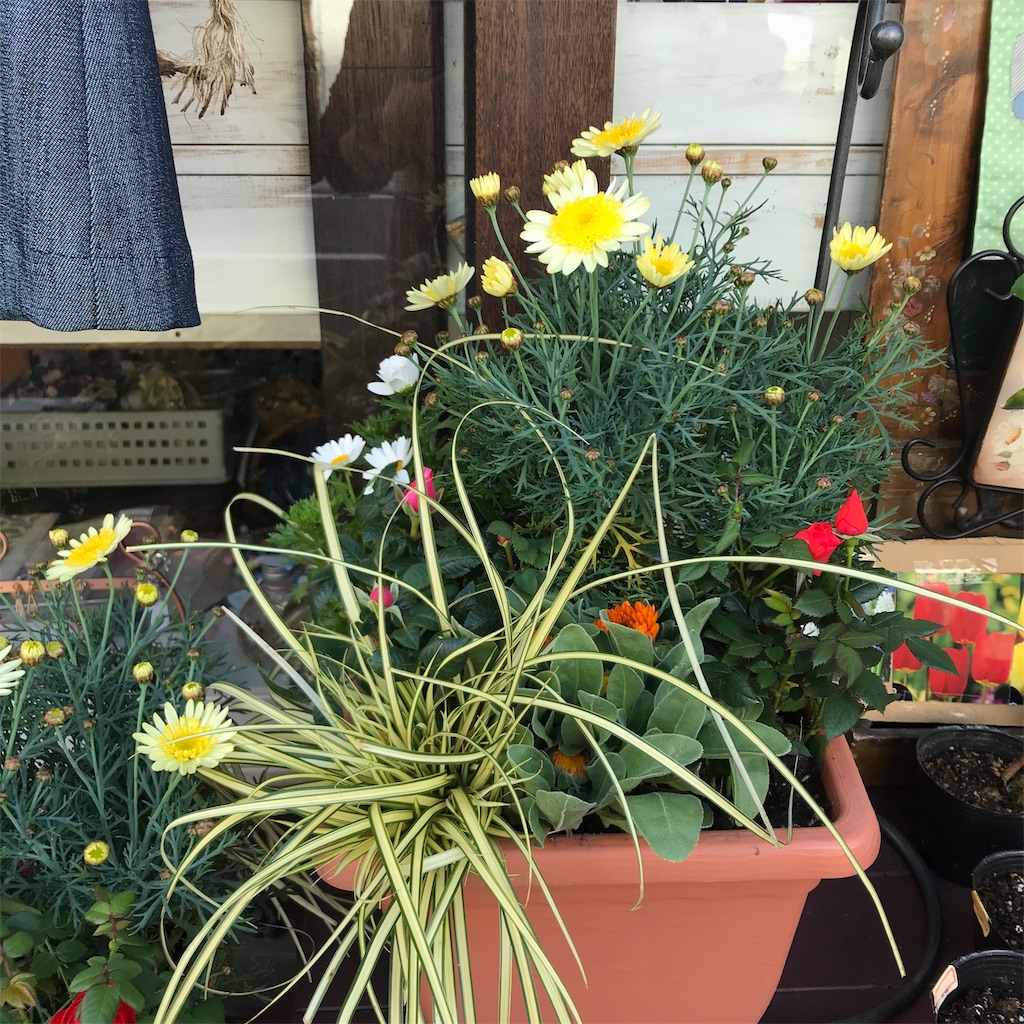 f:id:Aplaudo:20200213183301j:image