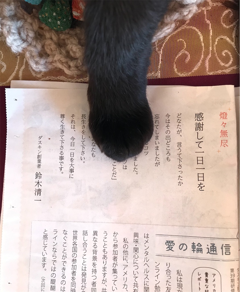 f:id:Aplaudo:20210225174341j:image f:id:Aplaudo:20210225174341j:image