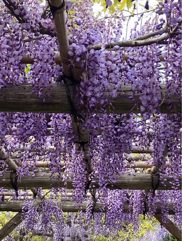 f:id:Aplaudo:20210505224445j:image f:id:Aplaudo:20210505224445j:image