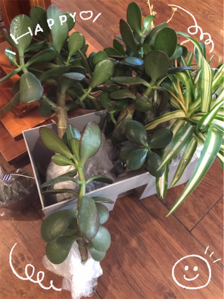 f:id:Aplaudo:20210624162714j:image f:id:Aplaudo:20210624162714j:image