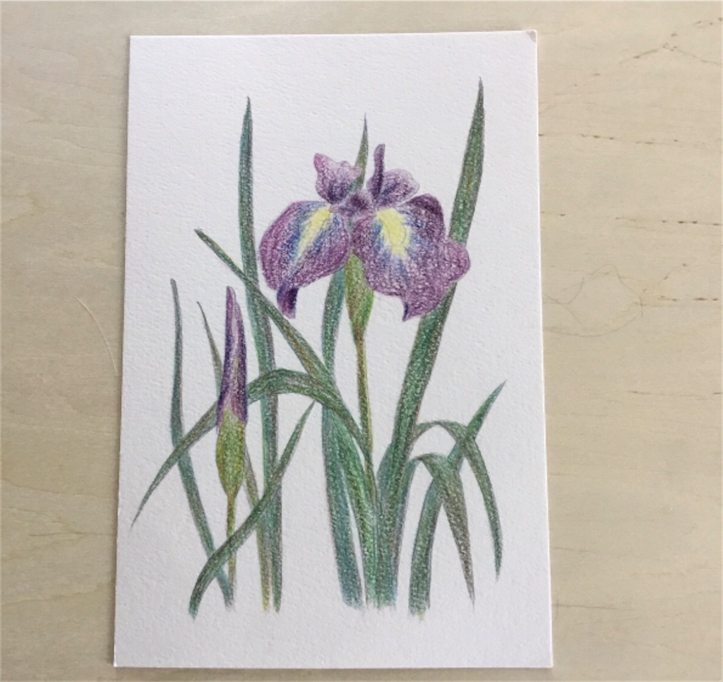 f:id:Aplaudo:20210708171608j:image