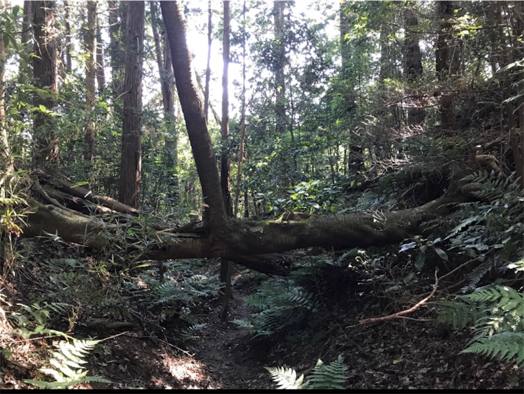 f:id:Aplaudo:20210807144345j:image