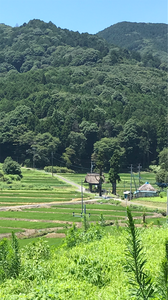 f:id:Aplaudo:20210807144402p:image