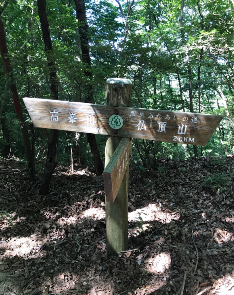 f:id:Aplaudo:20210807144413j:image