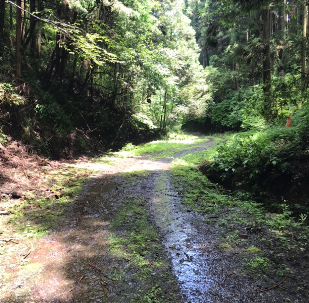 f:id:Aplaudo:20210807144420j:image