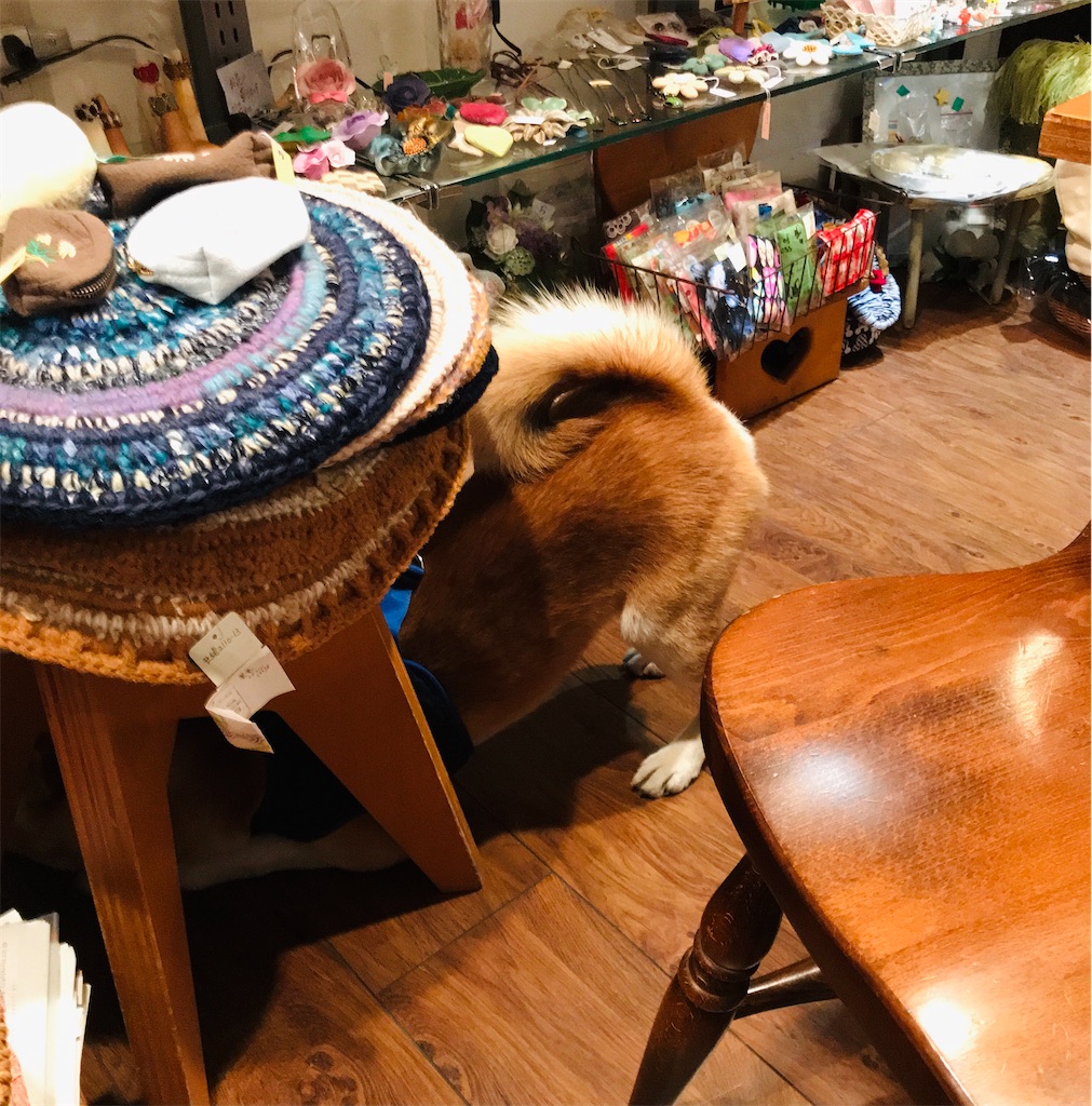 f:id:Aplaudo:20211117211622j:image