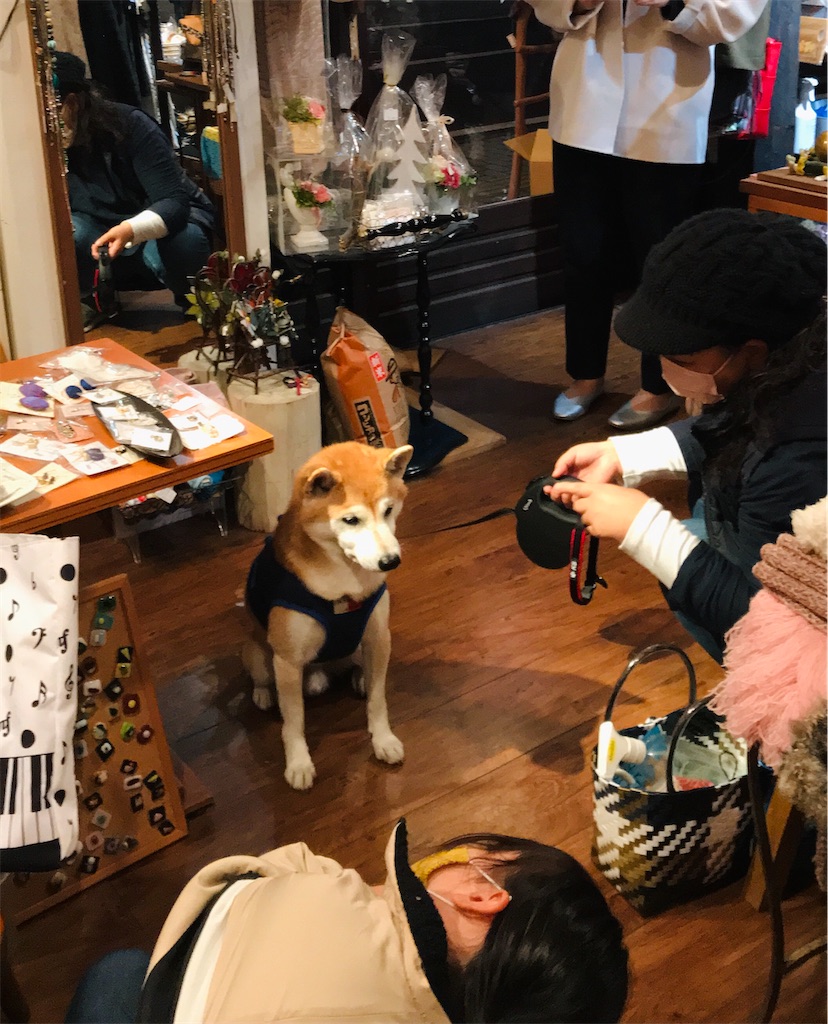 f:id:Aplaudo:20211117211635j:image