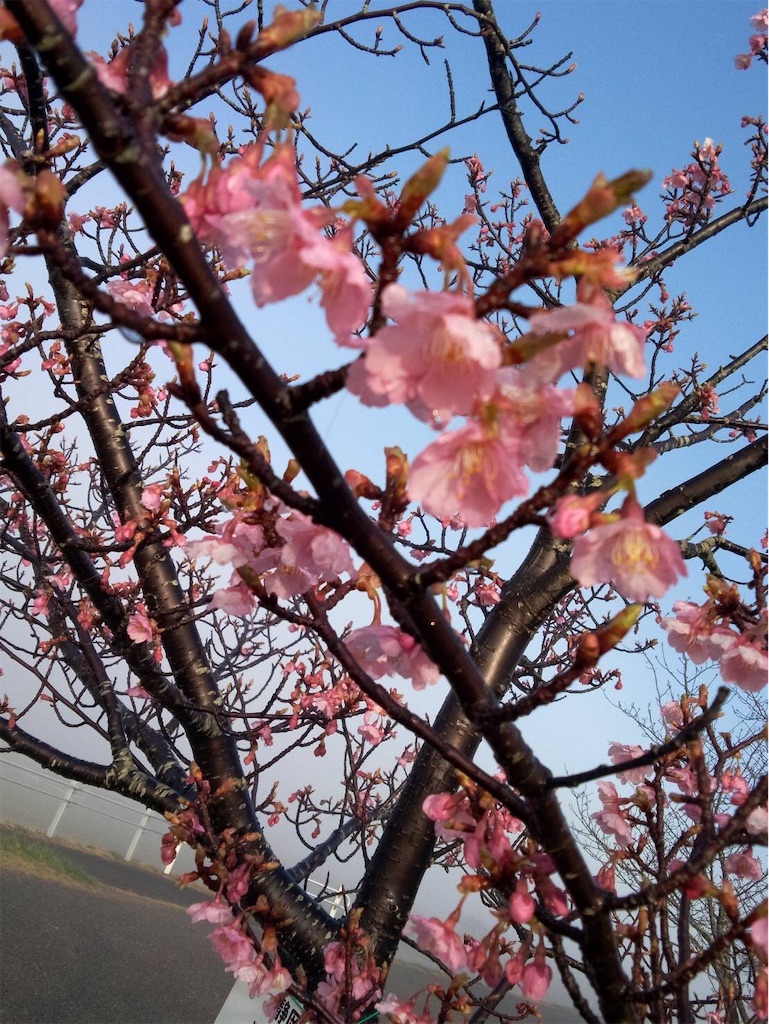 f:id:Aplaudo:20220322114031j:image