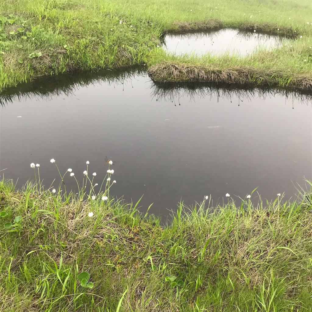 f:id:Aplaudo:20220719114137j:image