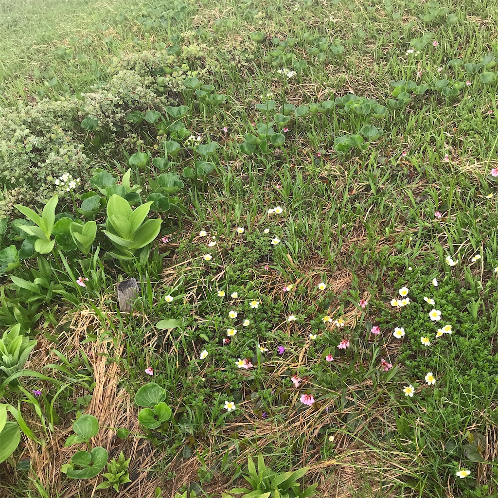 f:id:Aplaudo:20220731161658j:image