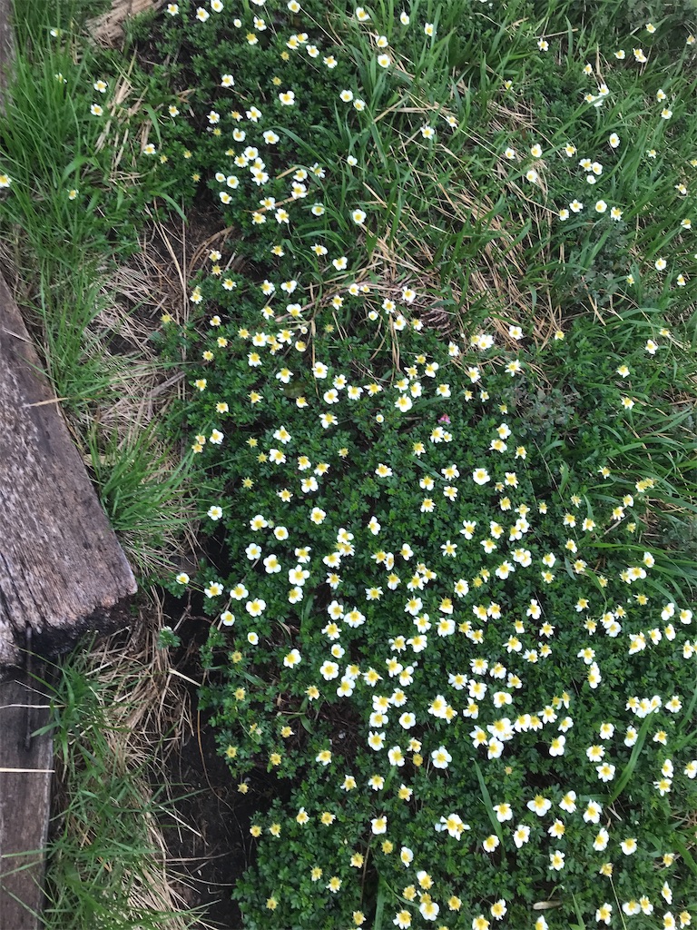 f:id:Aplaudo:20220731161738j:image