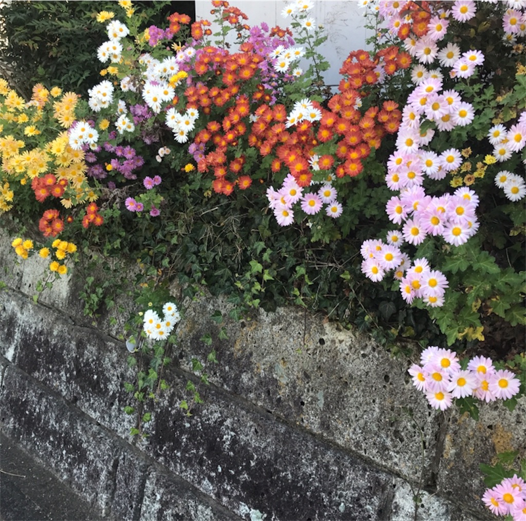 f:id:Aplaudo:20221125164005j:image
