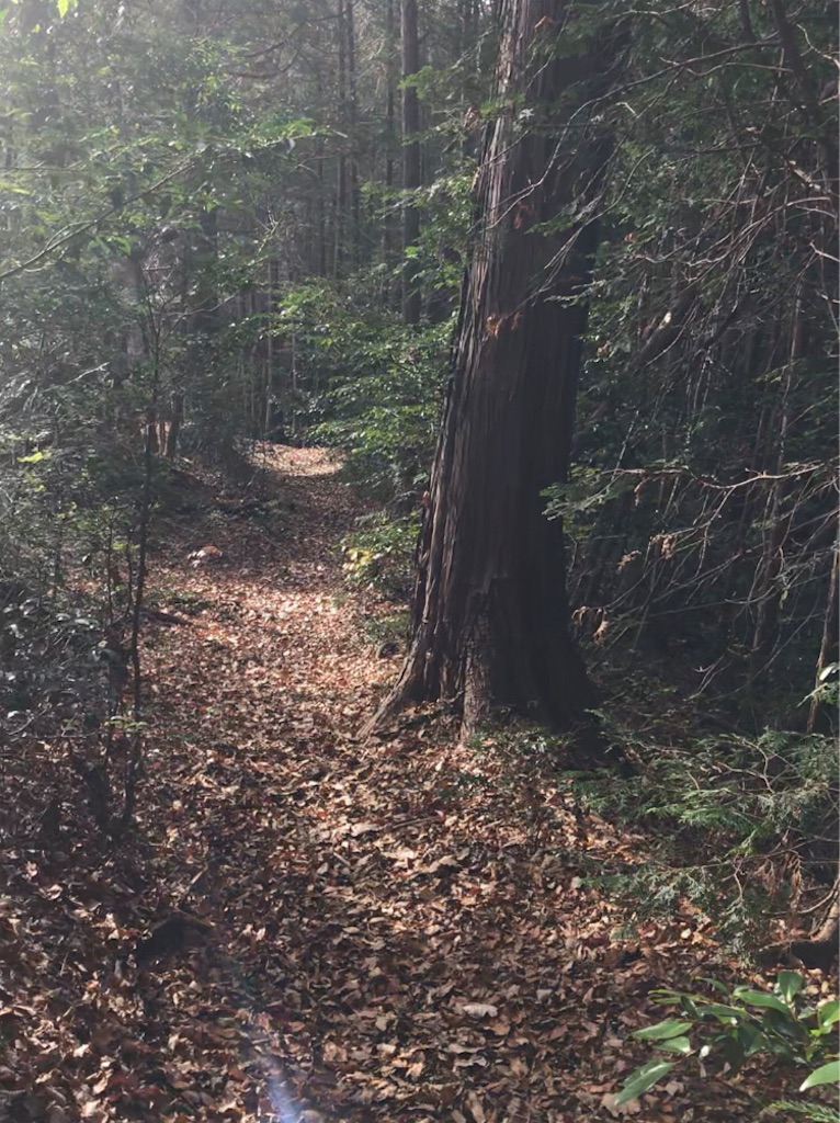 f:id:Aplaudo:20221205203513j:image f:id:Aplaudo:20221205203513j:image