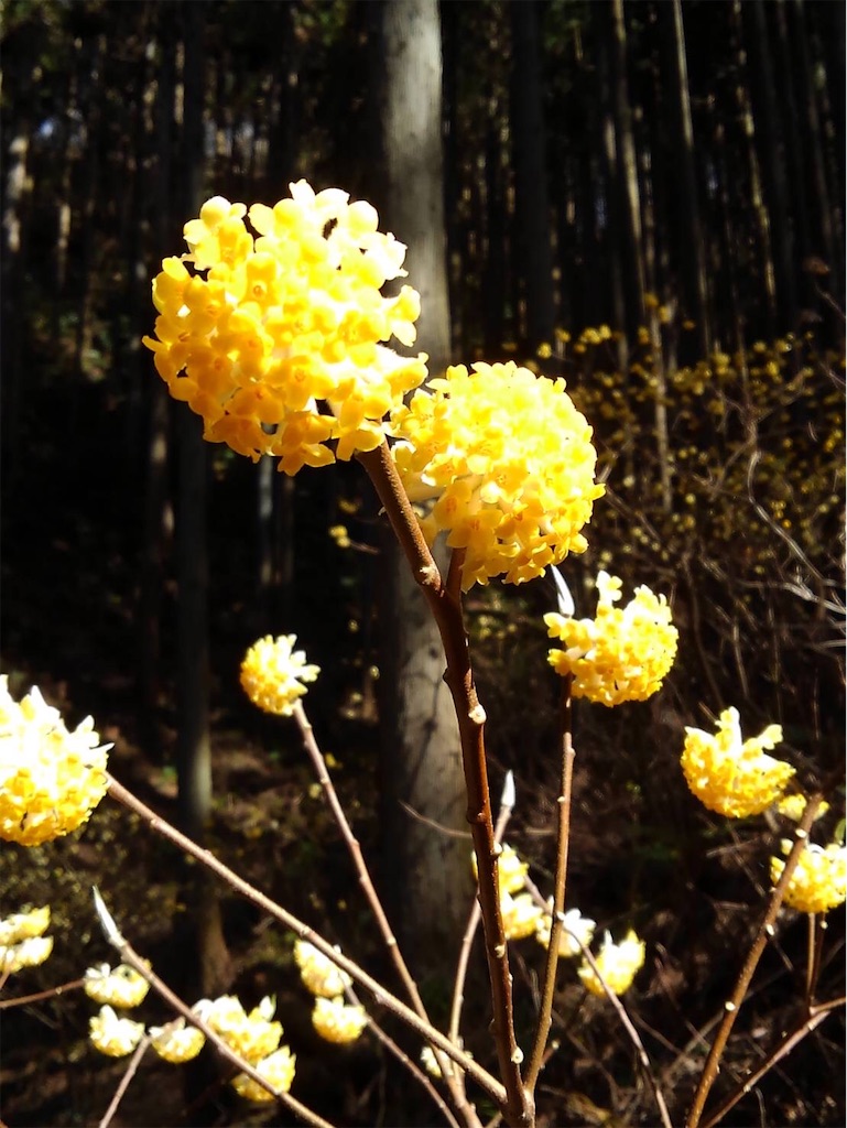 f:id:Aplaudo:20221205203648j:image f:id:Aplaudo:20221205203648j:image