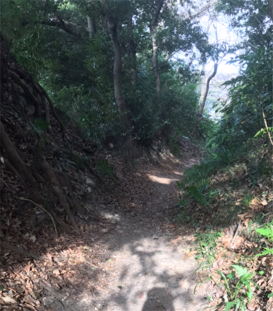 f:id:Aplaudo:20230127193847j:image