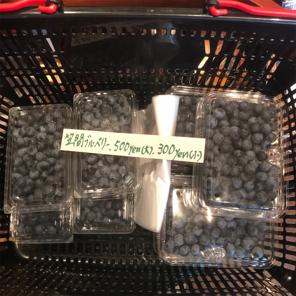 f:id:Aplaudo:20230814135851j:image