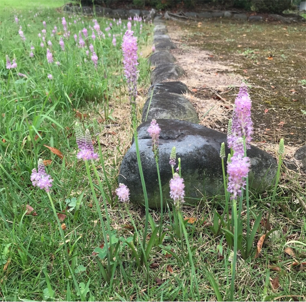 f:id:Aplaudo:20230908193923j:image