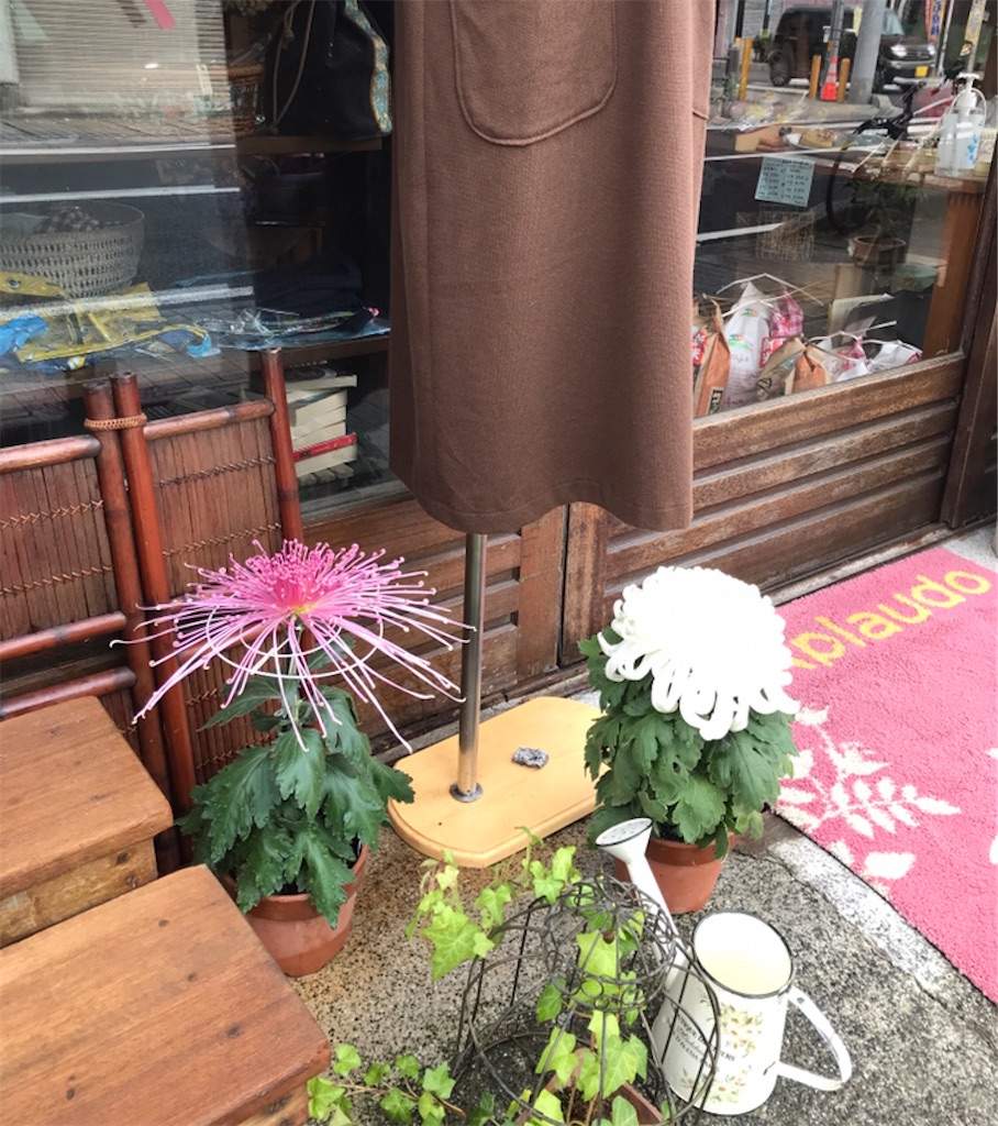 f:id:Aplaudo:20231110214633j:image