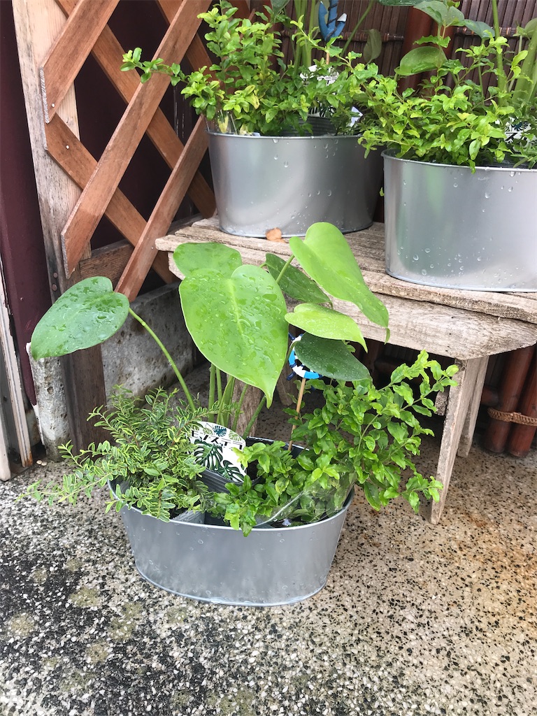 f:id:Aplaudo:20240722112430j:image