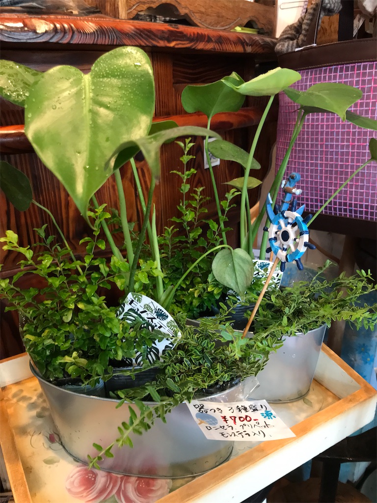 f:id:Aplaudo:20240722112451j:image